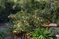 Additional image 10 of 3715 Brent St, Santa Barbara, CA, 93105