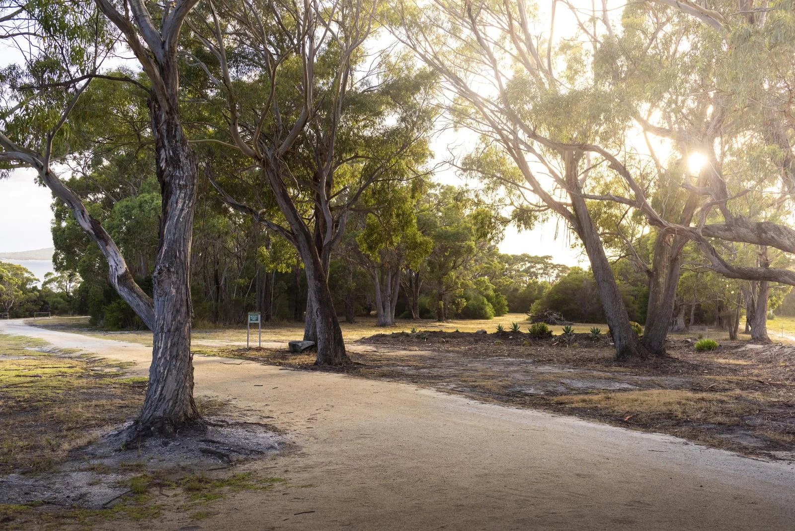 Additional image 4 of 180 Badger Corner Road, Lady Barron TAS 7255