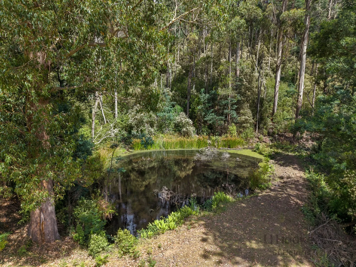 Additional image 29 of 500 Lottah Road, Goulds Country TAS 7216