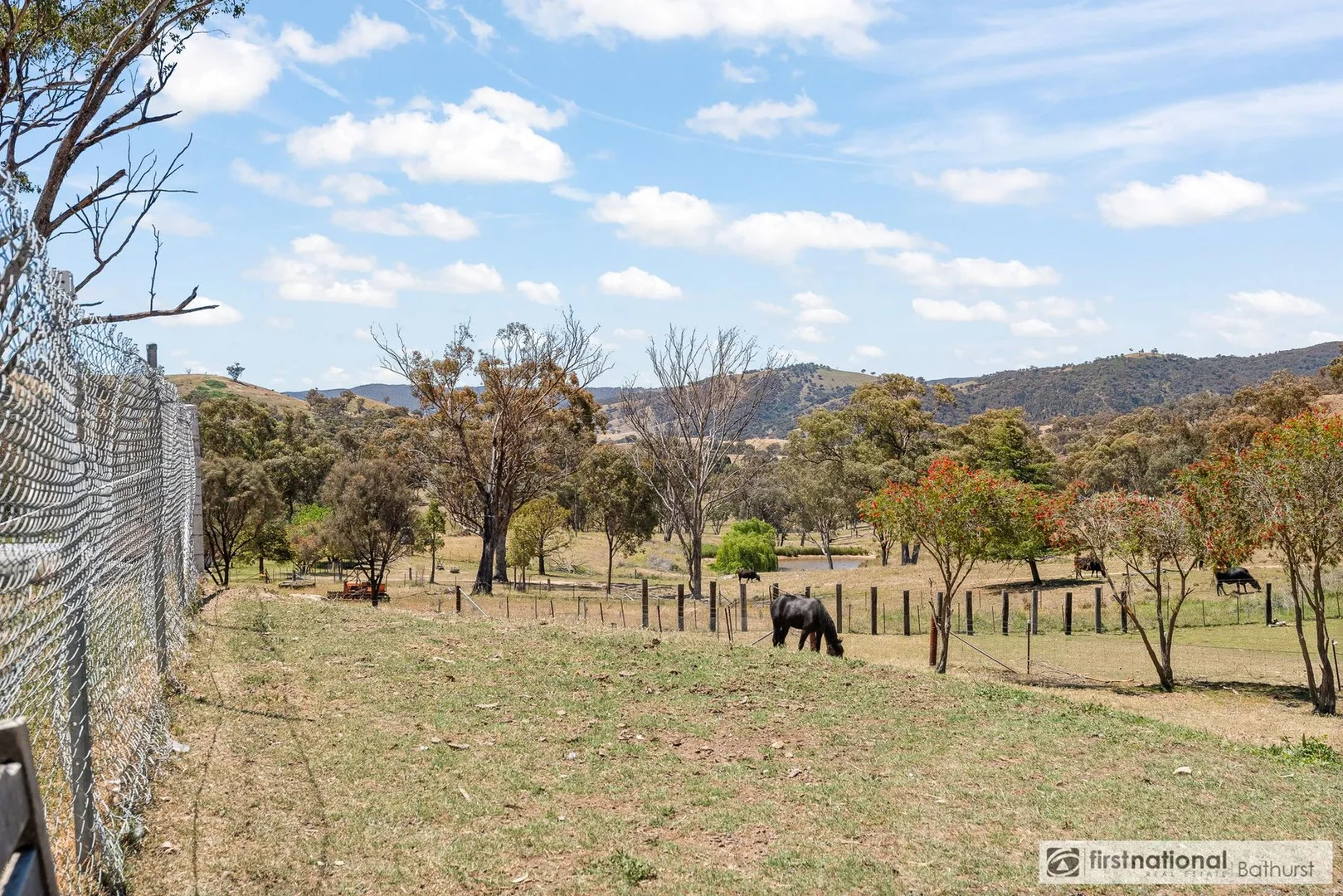 Additional image 27 of 2007 Sofala Road, Peel NSW 2795