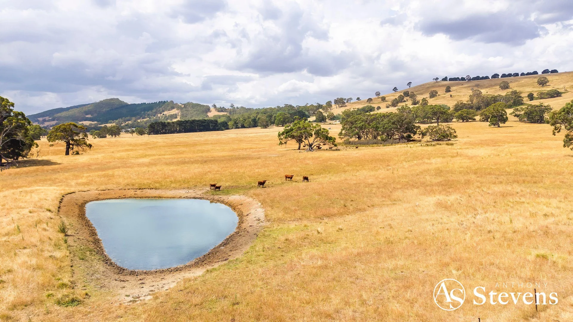 Additional image 17 of C/A-61 Pattinsons Lane, Goldie VIC 3435