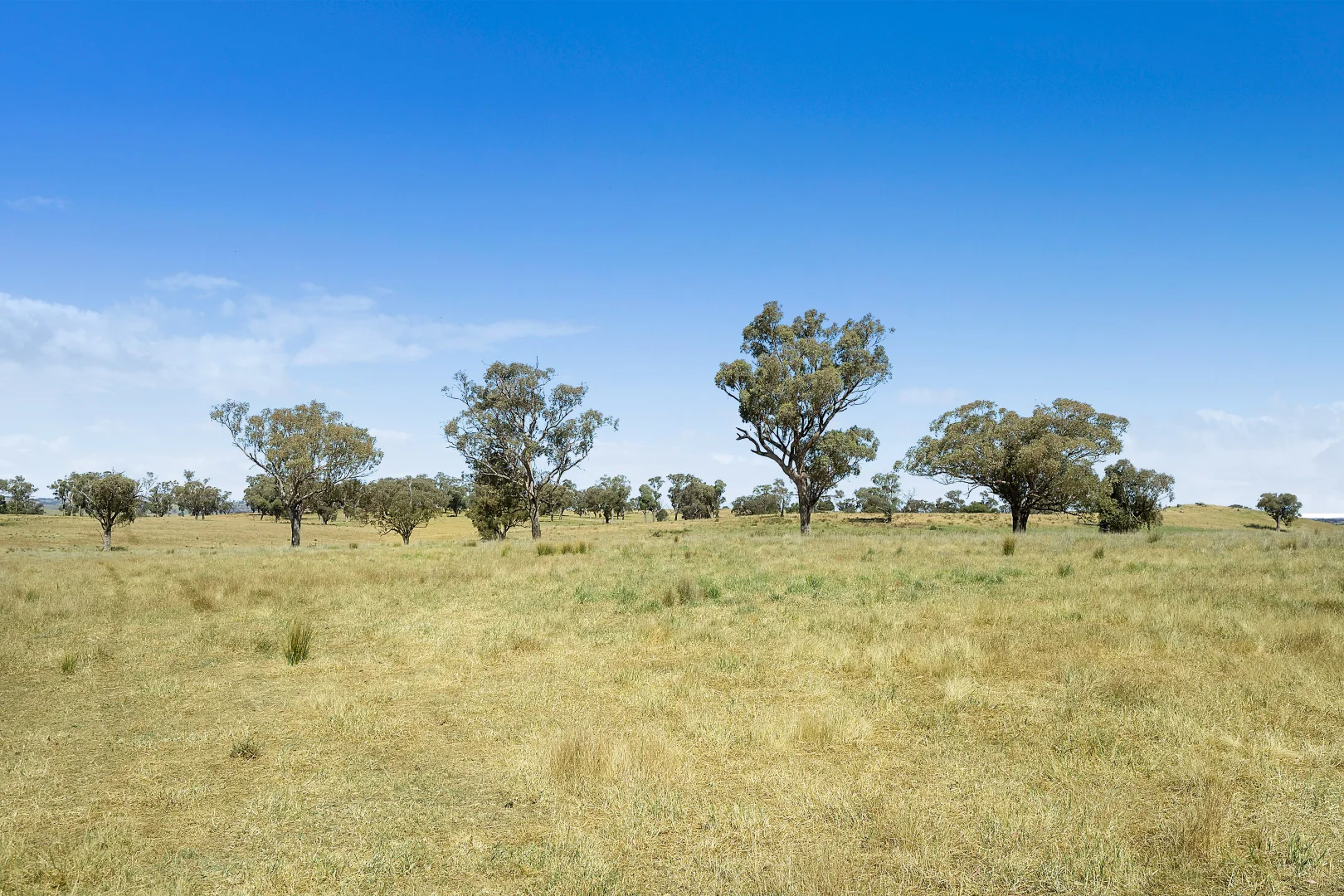 Additional image 29 of 2593 Four Mile Creek Road, Orange NSW 2800