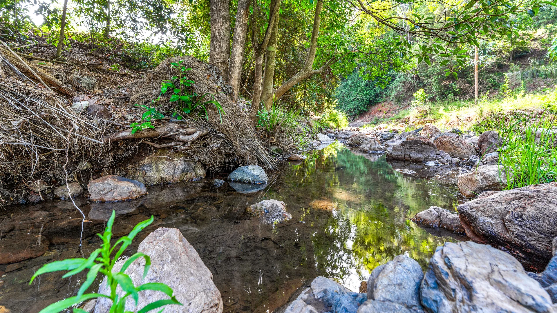 Additional image 6 of Wherrol Flat NSW 2429