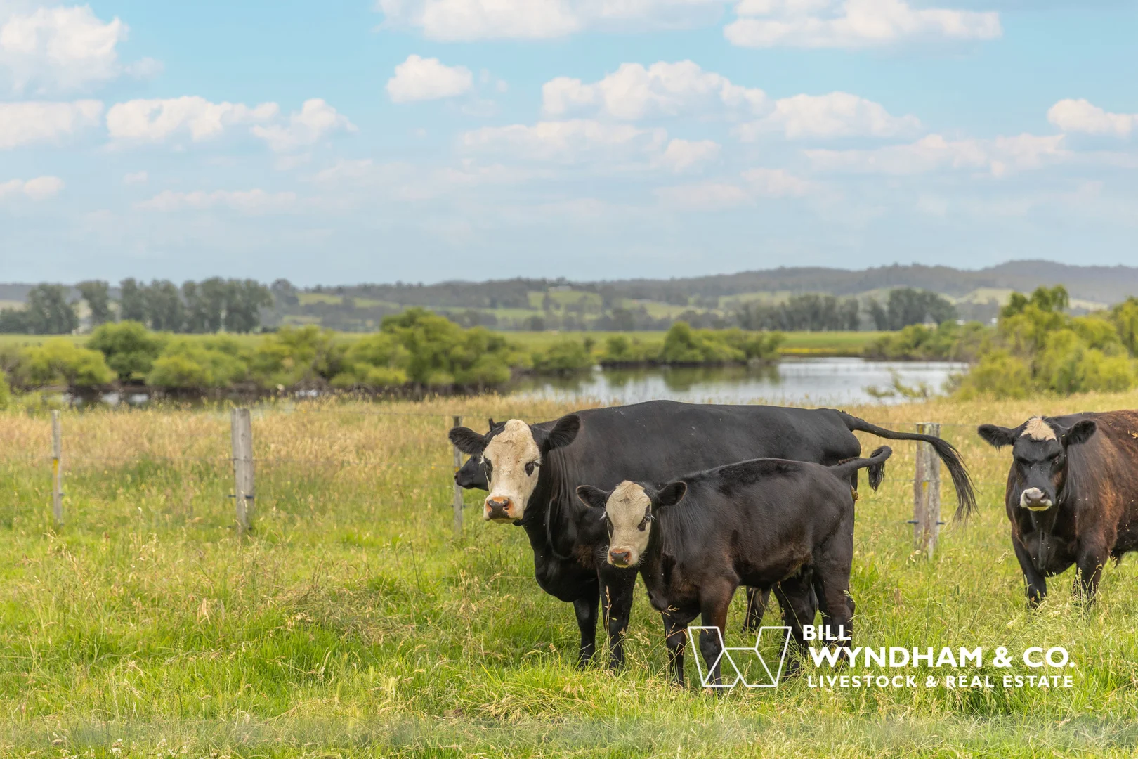 Additional image 20 of 116 Bruthen-Nowa Nowa Road, Bruthen VIC 3885