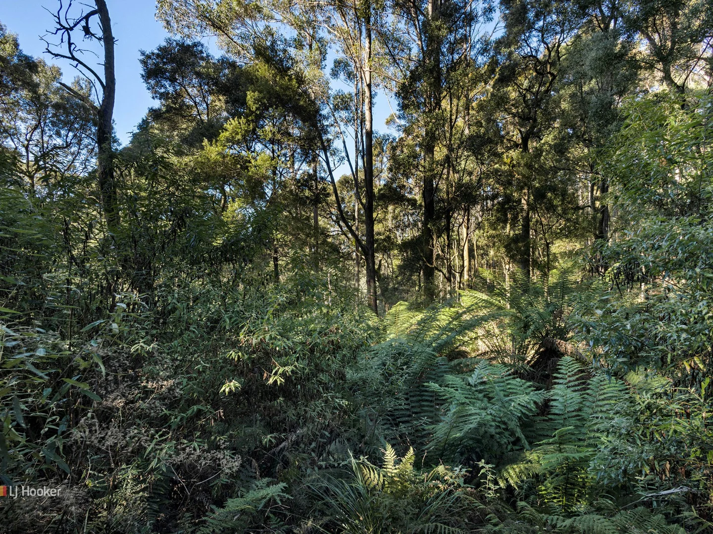 Additional image 4 of 0 Pages Road, Moorleah TAS 7325