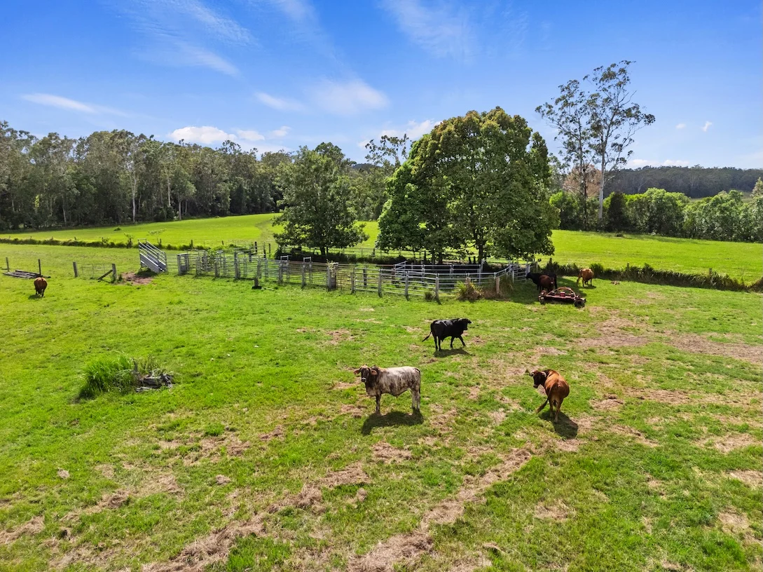 Additional image 14 of Lot 4 Newspaper Hill Road, Belli Park QLD 4562