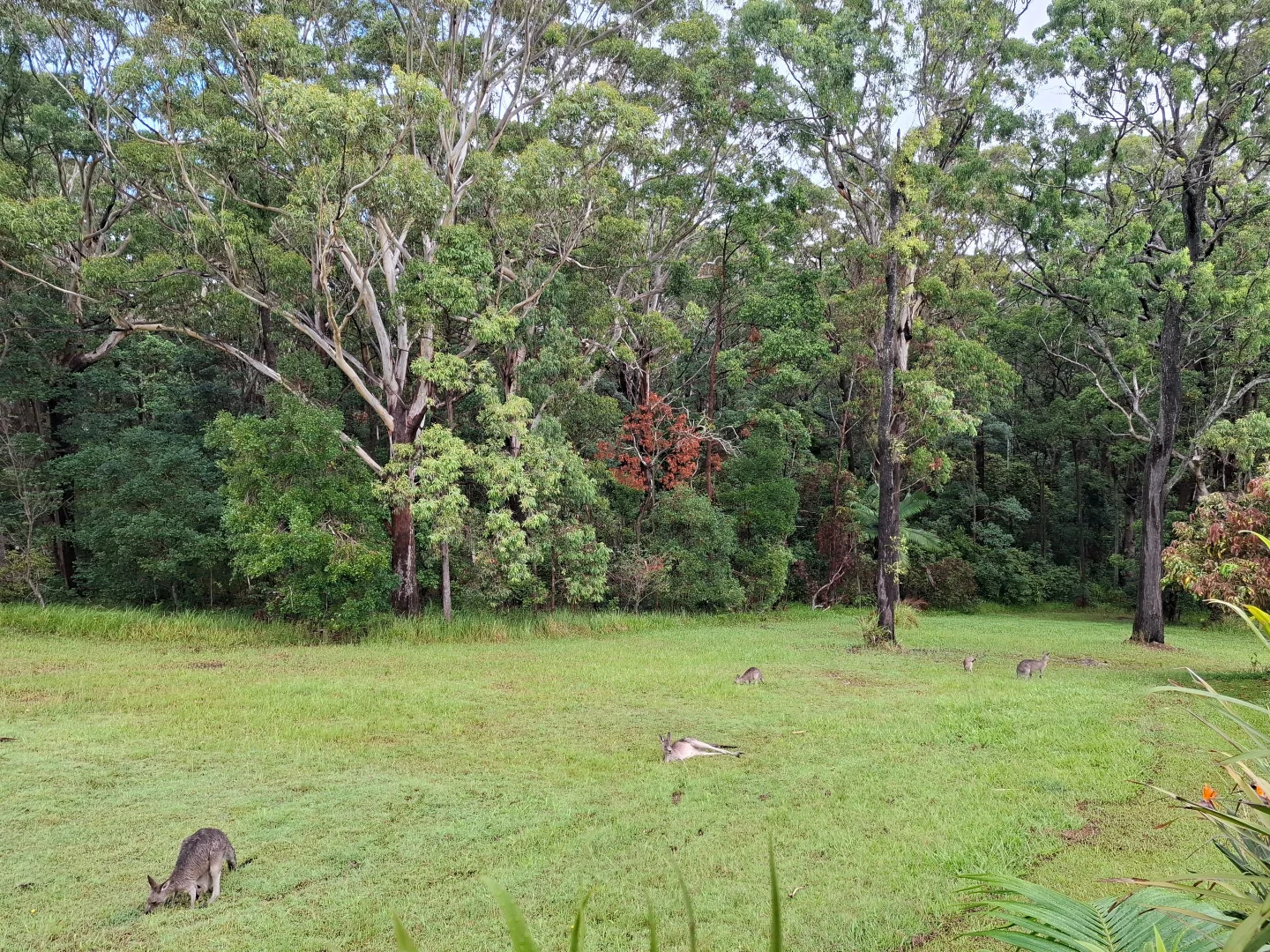 Additional image 7 of Lot 1/82-84 Valla Beach Road, Valla Beach NSW 2448