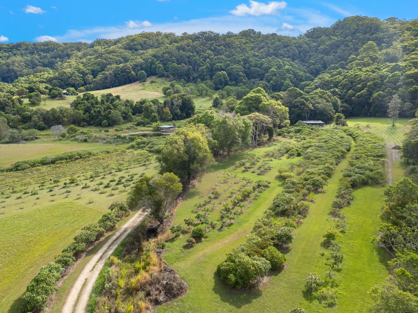 Additional image 29 of 16 Sartories Road, Pimlico NSW 2478