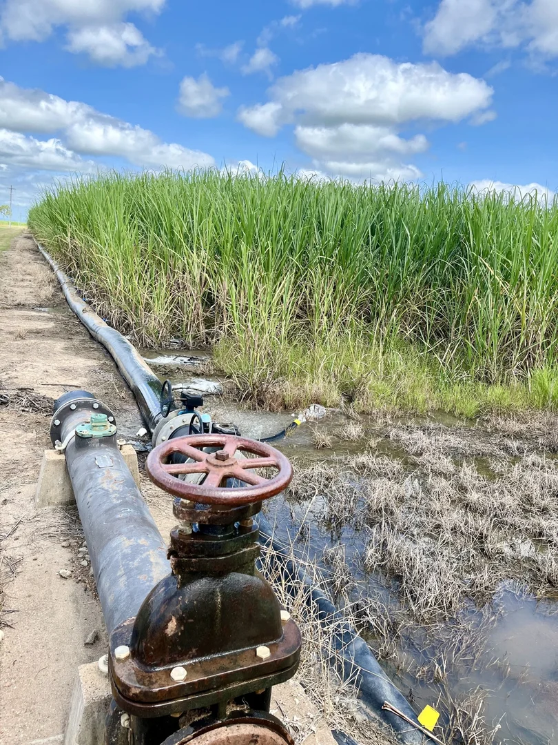 Additional image 21 of 407 Brown Road, Mona Park QLD 4807