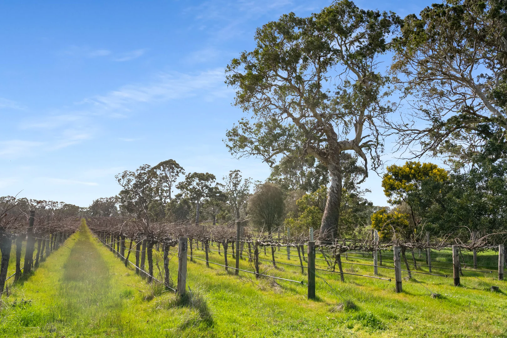 Additional image 10 of Lot 106/108 Dergholm Road, Penola SA 5277