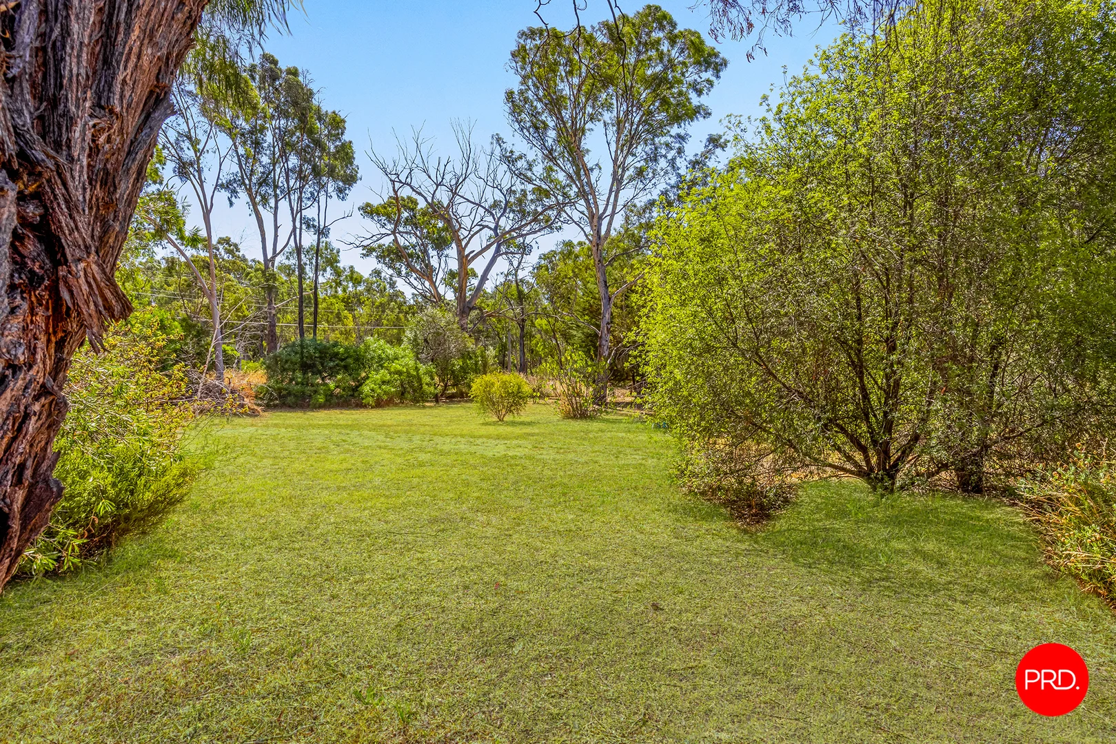 Additional image 27 of 12 McInnes Street, Big Hill VIC 3555