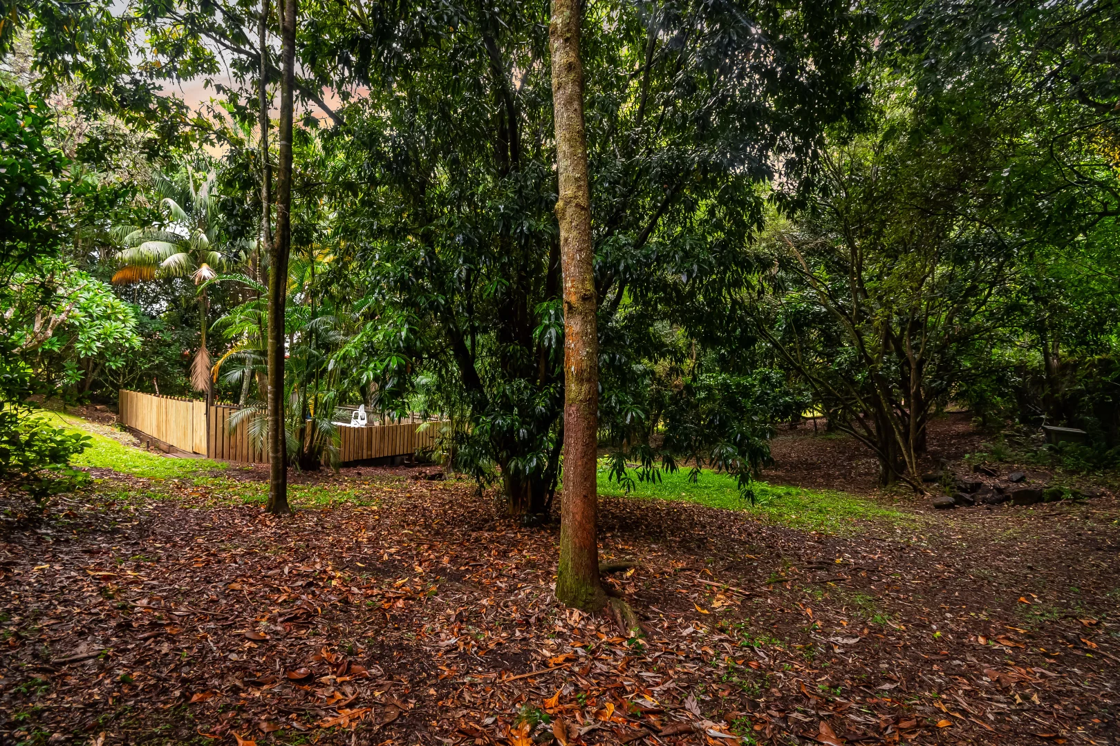 Additional image 22 of 3 Tamarind Close, Richmond Hill NSW 2480