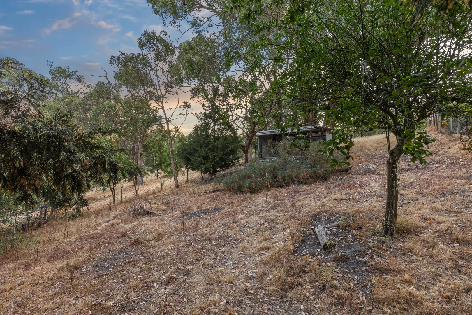 Additional image 28 of 23 Totness Road, Totness SA 5250