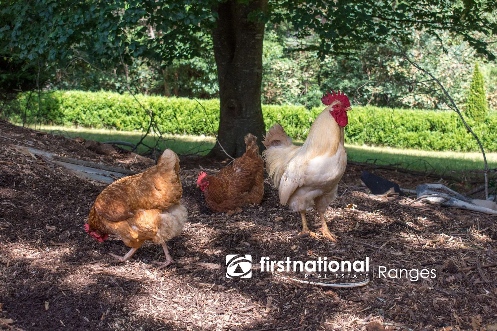 Additional image 9 of 73 Emerald Creek Road, Monbulk VIC 3793