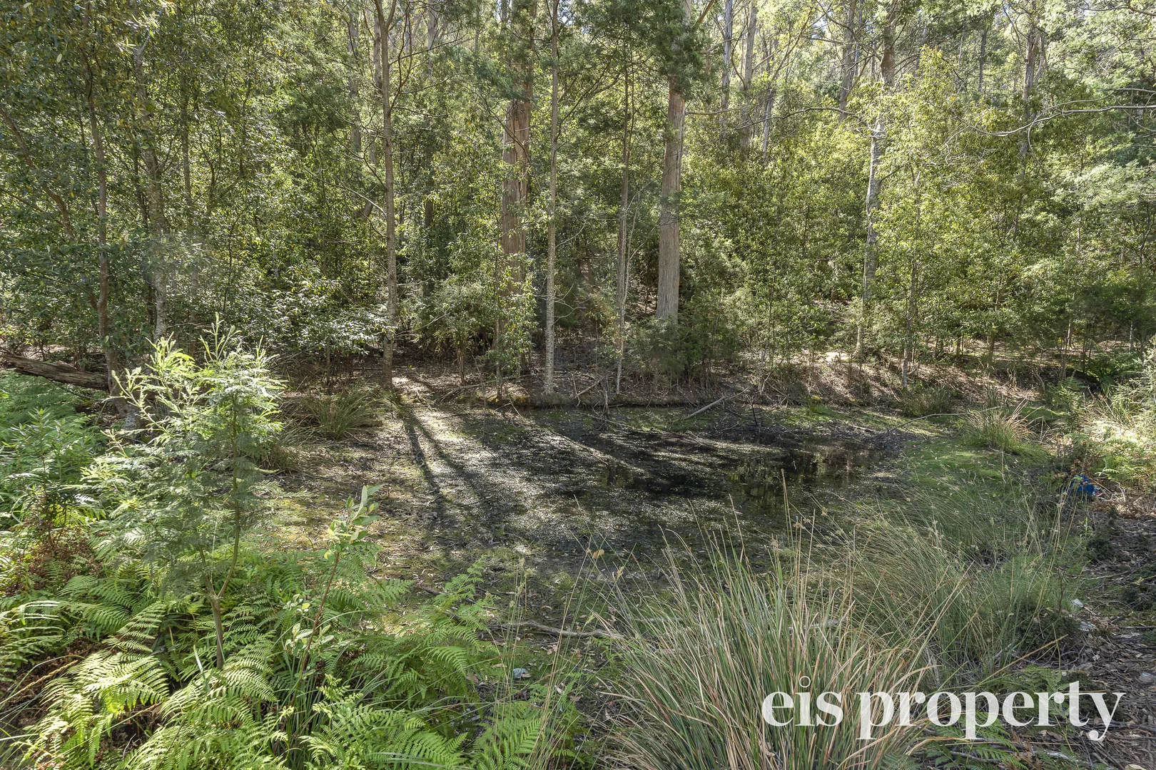 Additional image 10 of 115 Millhouses Road, Longley TAS 7150