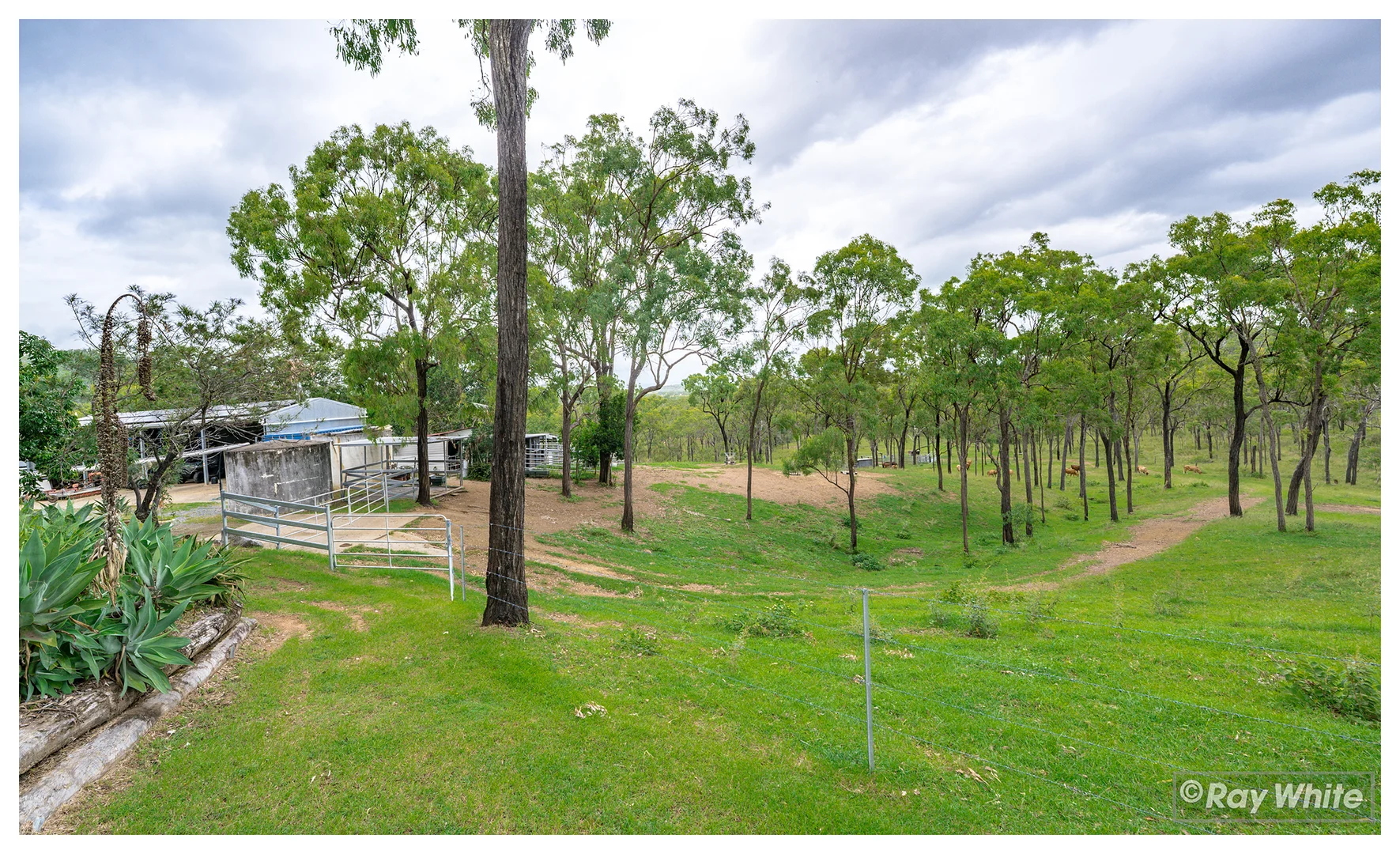 Additional image 26 of 260 Fourteen Mile Road, The Caves QLD 4702