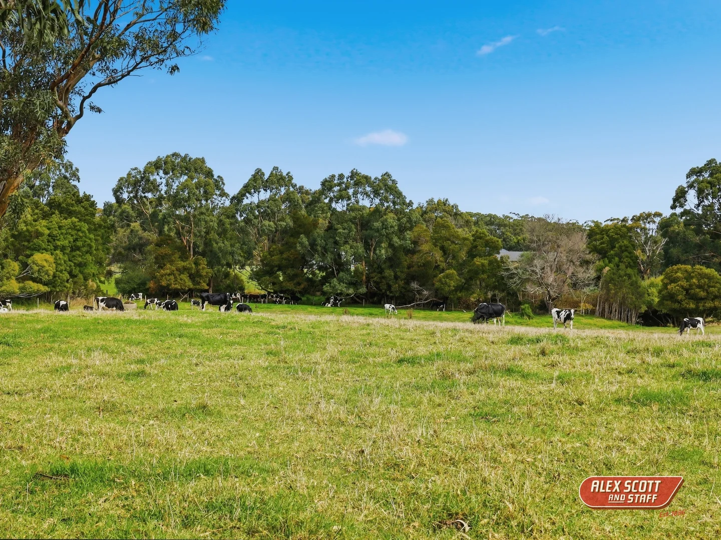 Additional image 17 of 29 Shands Road, Agnes VIC 3962