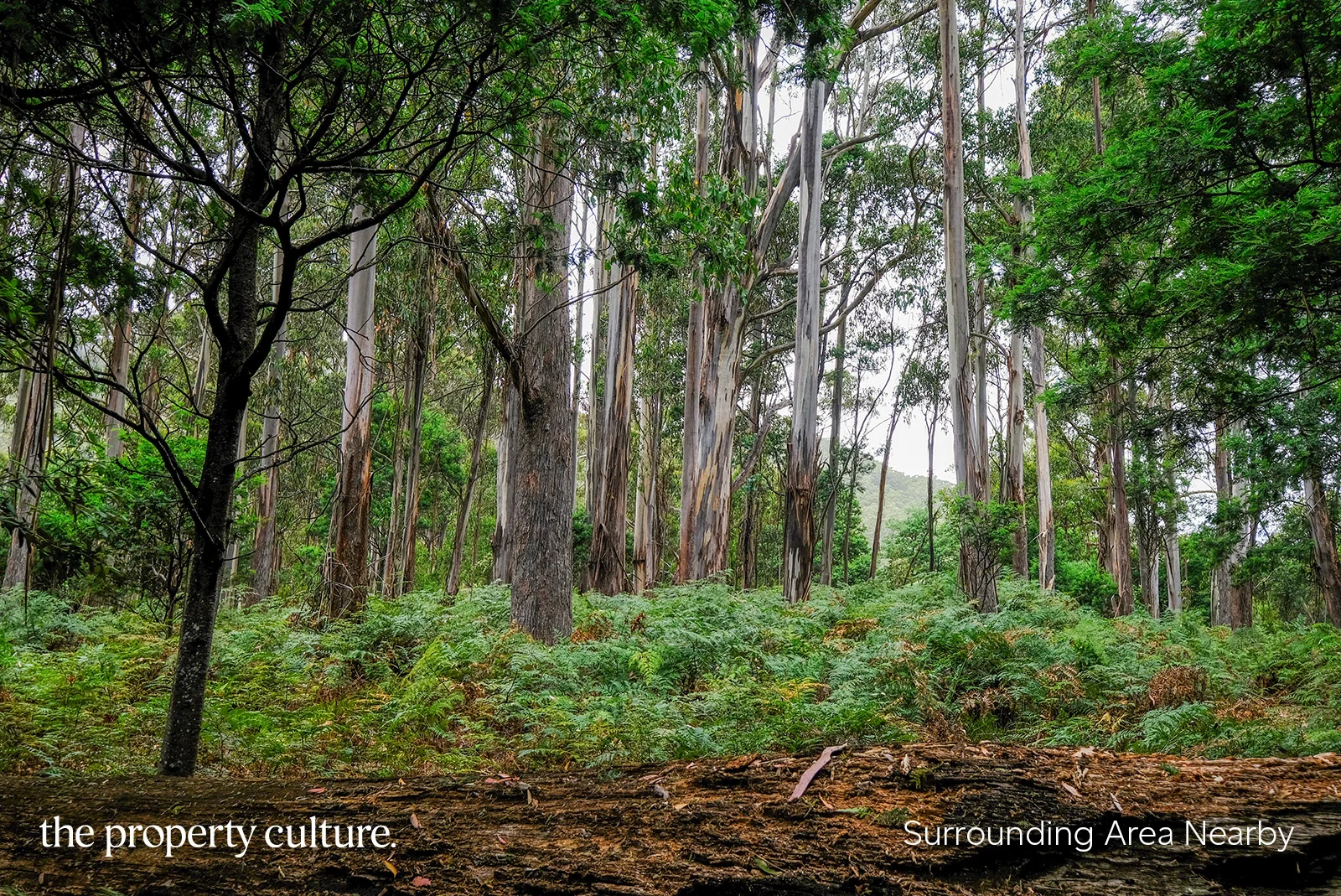 Additional image 26 of 62 Williams Road, Randalls Bay TAS 7112