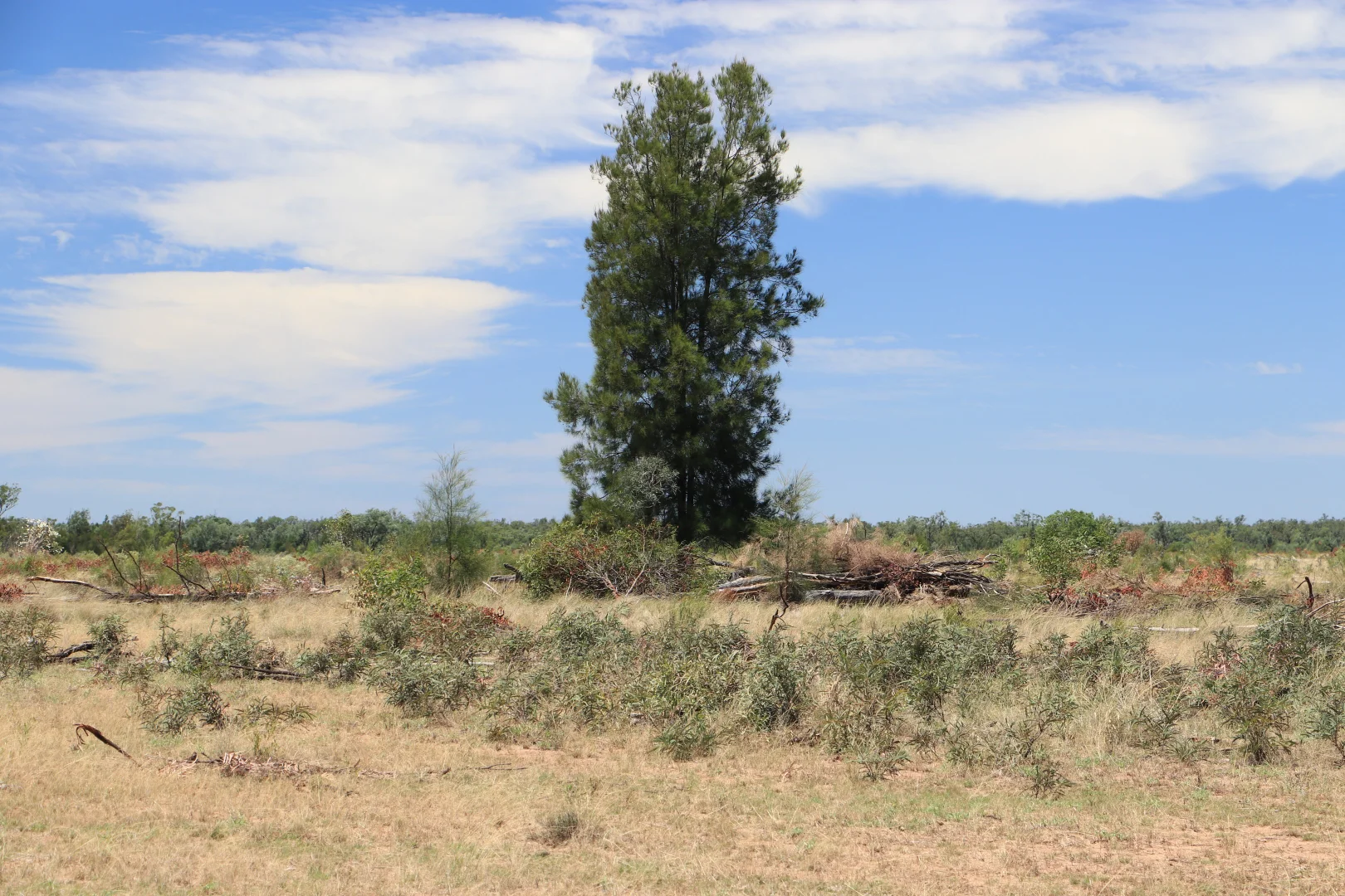 Additional image 23 of 555 Yuleba Surat Road, Yuleba QLD 4427