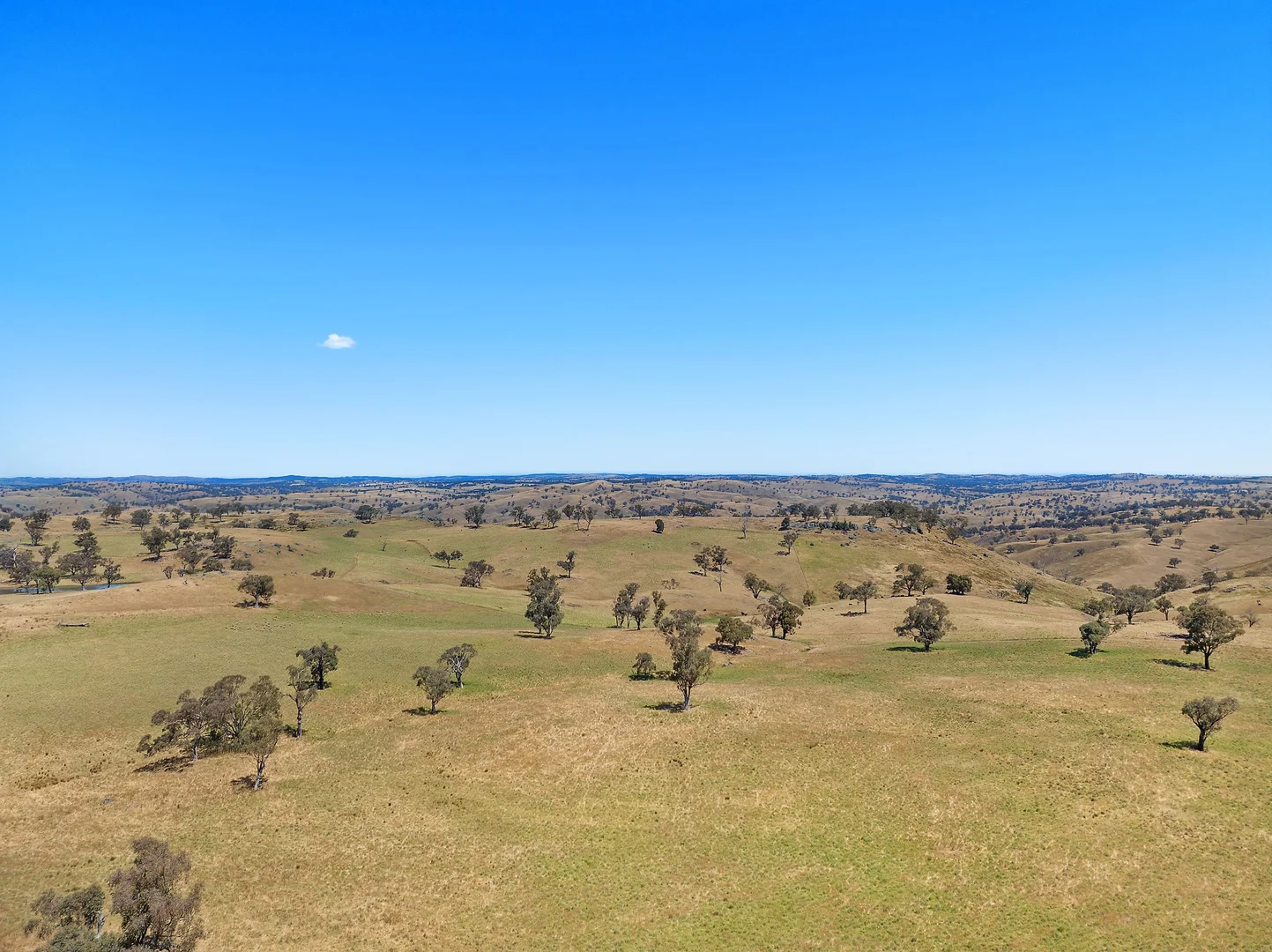 Additional image 6 of 2593 Four Mile Creek Road, Orange NSW 2800