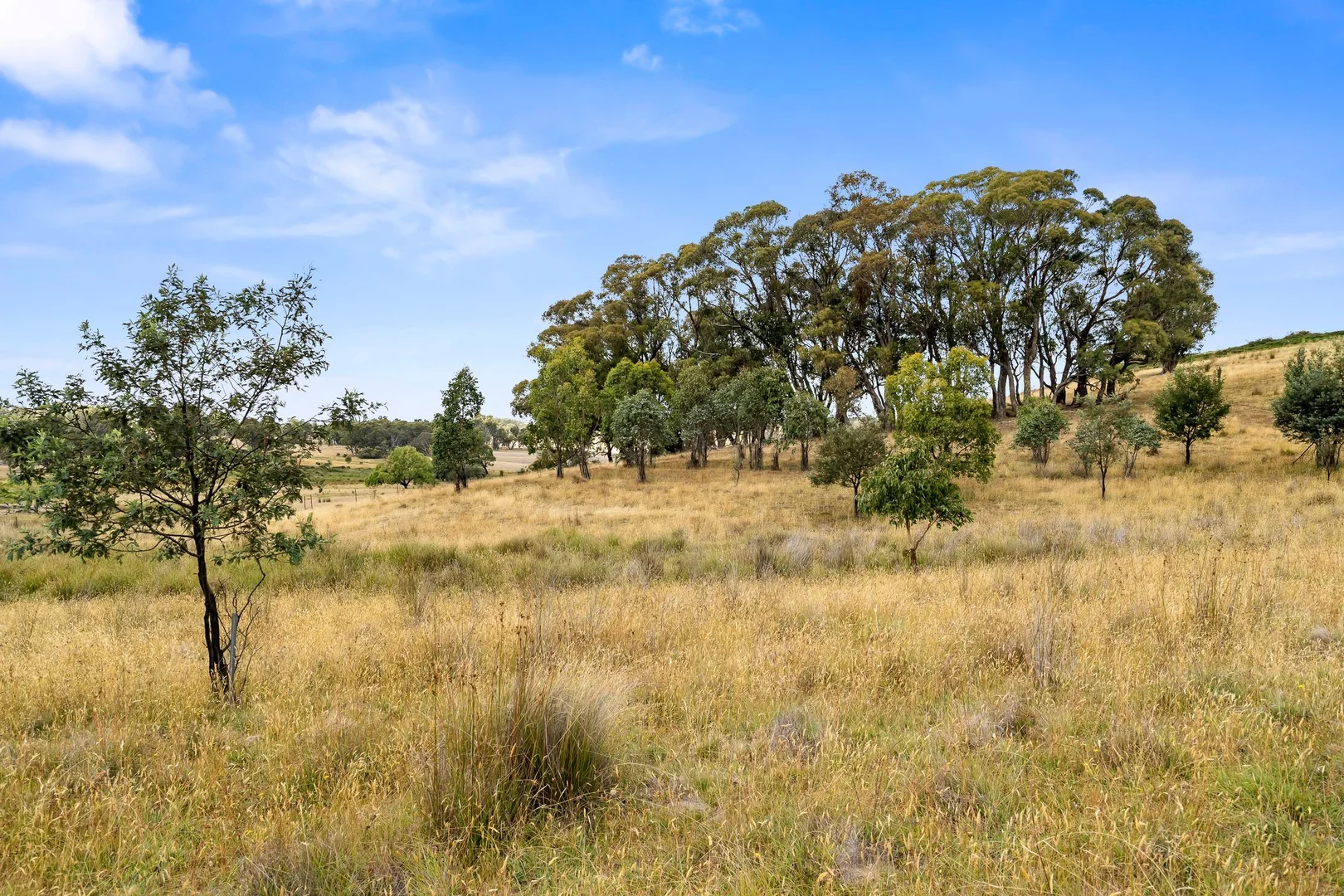 Additional image 9 of 171 Boongarra Road, Laggan via, Crookwell NSW 2583