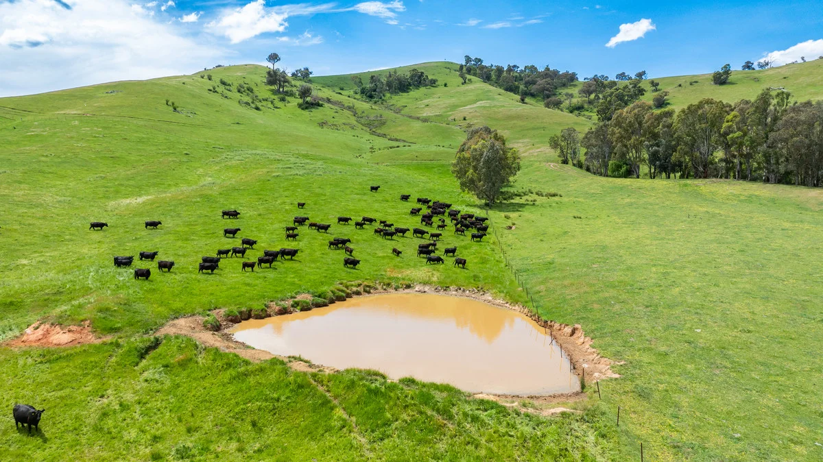 Additional image 21 of Swamp Lane, Dederang VIC 3691