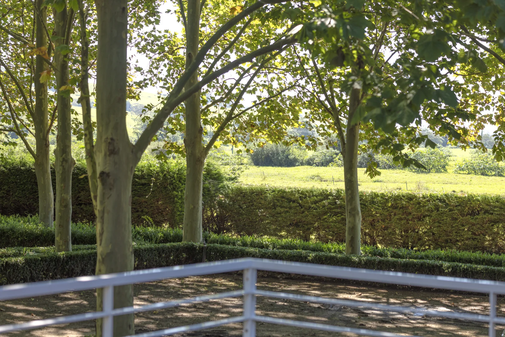 Additional image 14 of 32 Factory Lane, Jamberoo NSW 2533