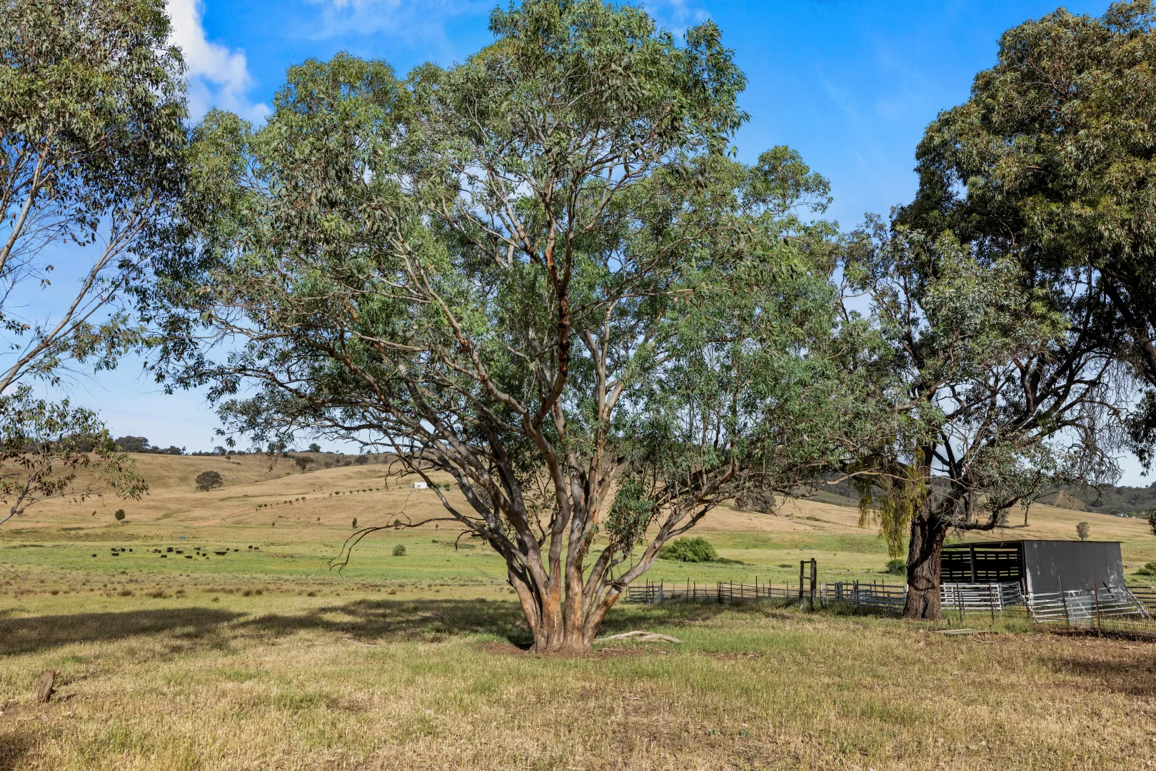 Additional image 23 of Lot 38 Gentle Destiny Road, Boorowa NSW 2586