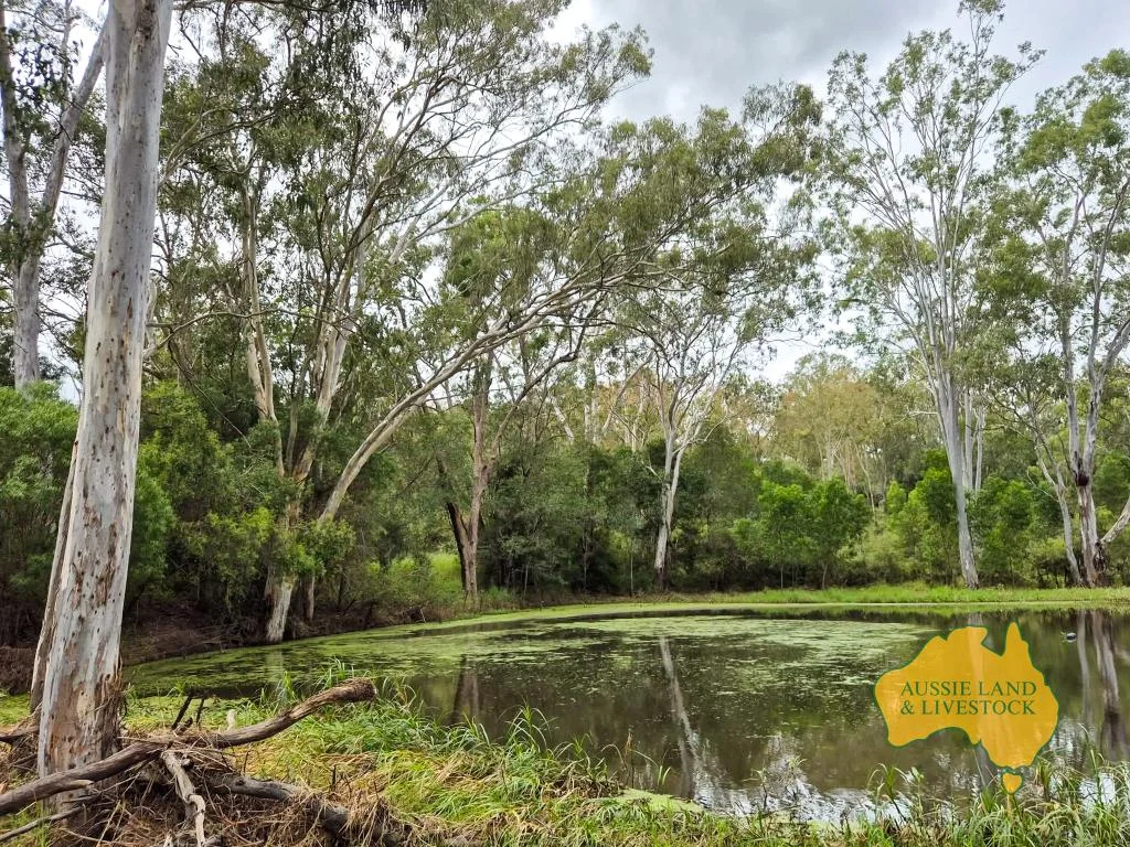 Additional image 7 of 296 Cloyna West Road, Cloyna QLD 4605