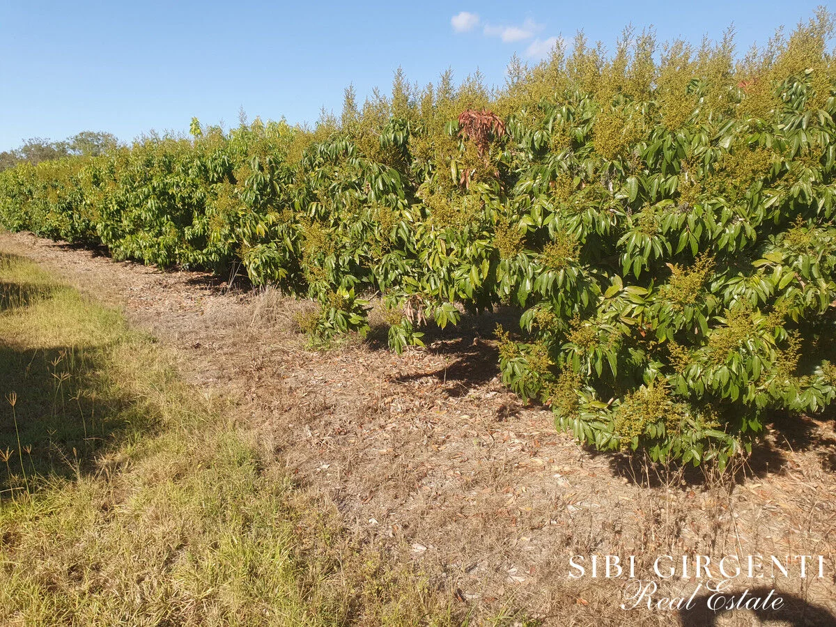 Additional image 15 of 84 Chisari Road, Mutchilba QLD 4872