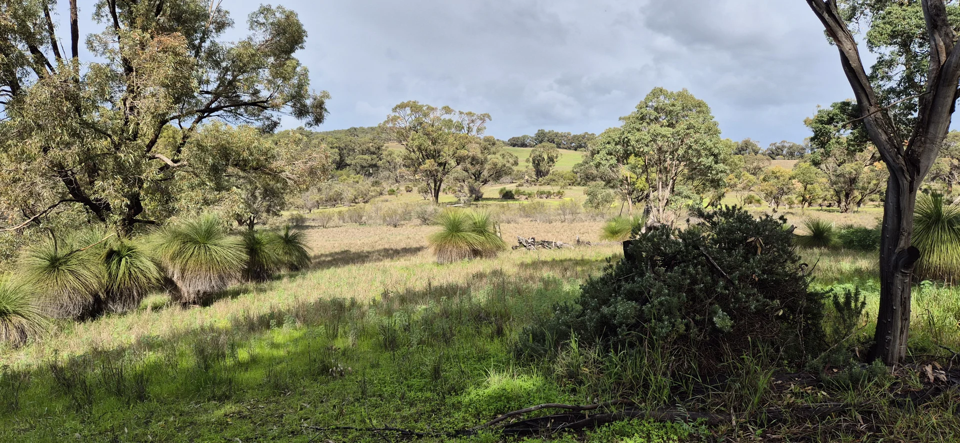 Additional image 16 of 197 Millbank Road, Cowalla WA 6503