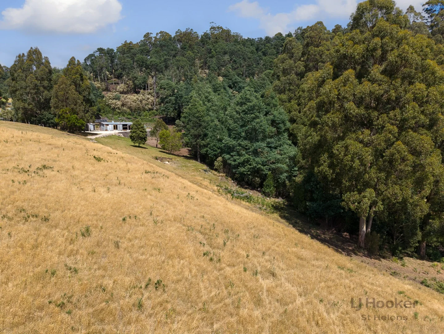 Additional image 28 of 500 Lottah Road, Goulds Country TAS 7216