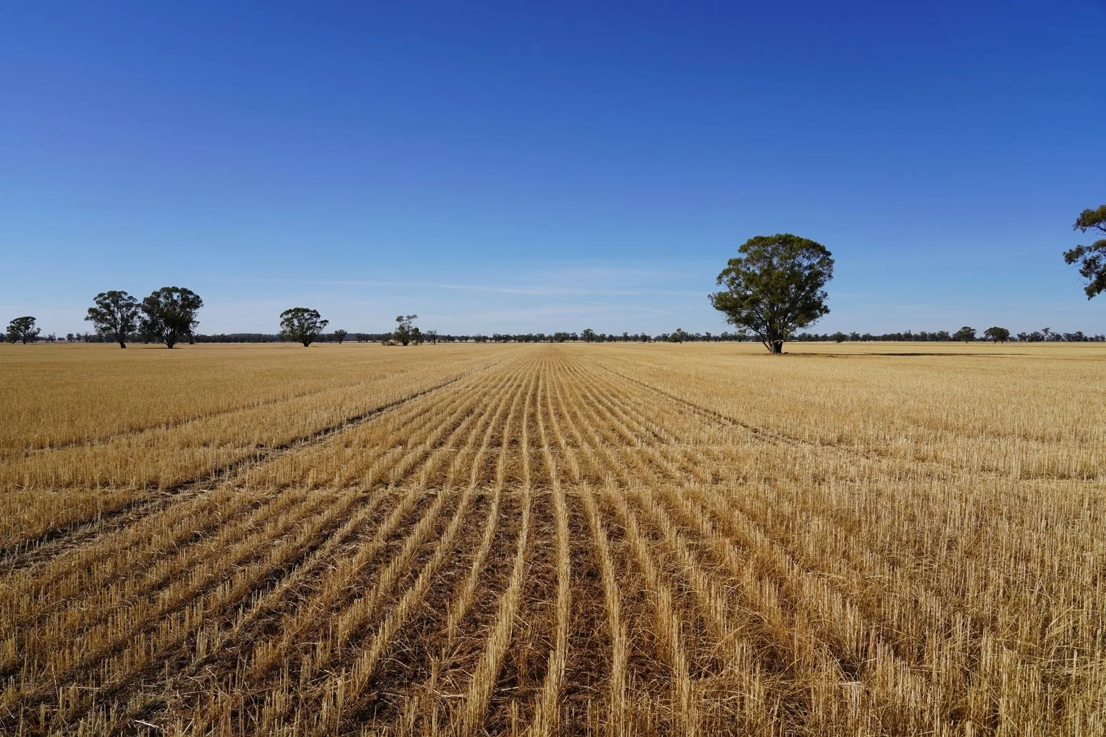 Additional image 6 of Part Woodville Blackstock Hill Road, Peak Hill NSW 2869