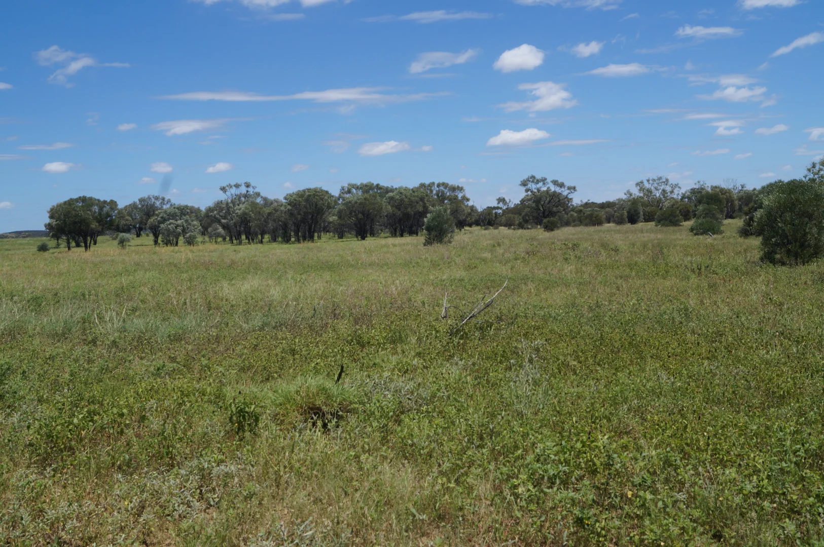 Additional image 15 of 1 Baratria Road, Longreach QLD 4730