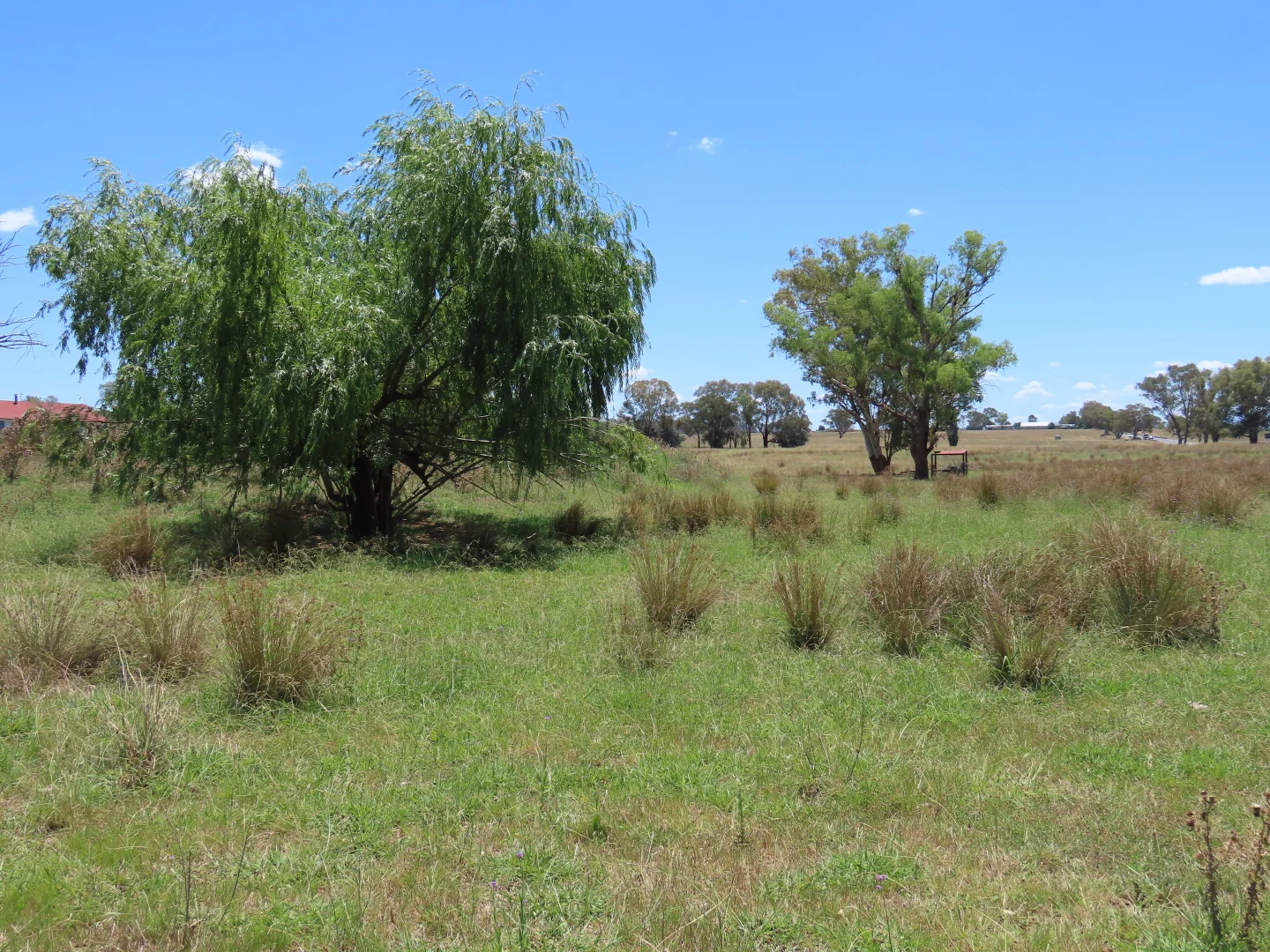 Additional image 3 of "Wattle-wee-doo" 14213 New England HWY, Timbumburi NSW 2340