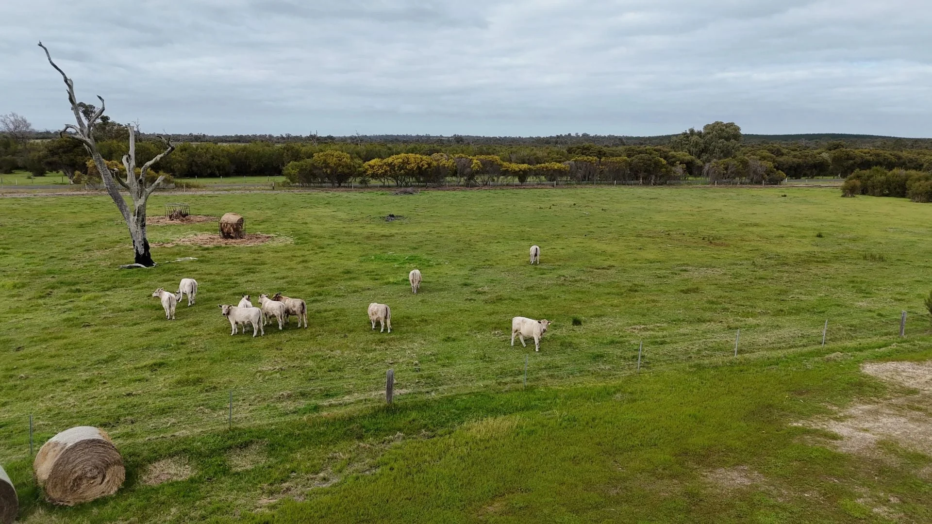 Additional image 5 of 1326 Riverdale Road, Cookernup WA 6219