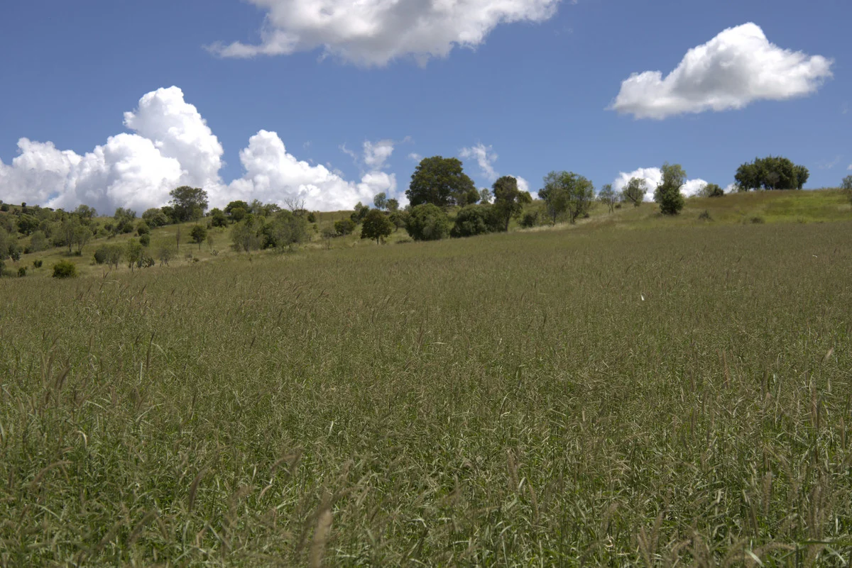 Additional image 33 of "Mustons" Frawleys Road, Thangool QLD 4716