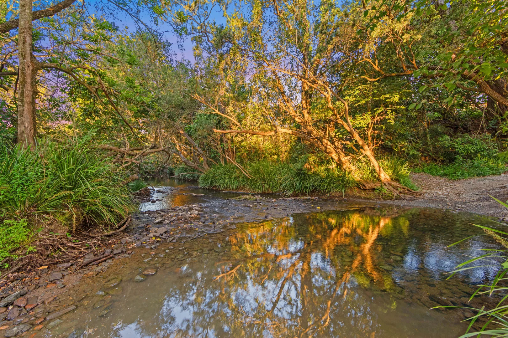 Additional image 15 of 33 Darwalla Road, Mount Nathan QLD 4211