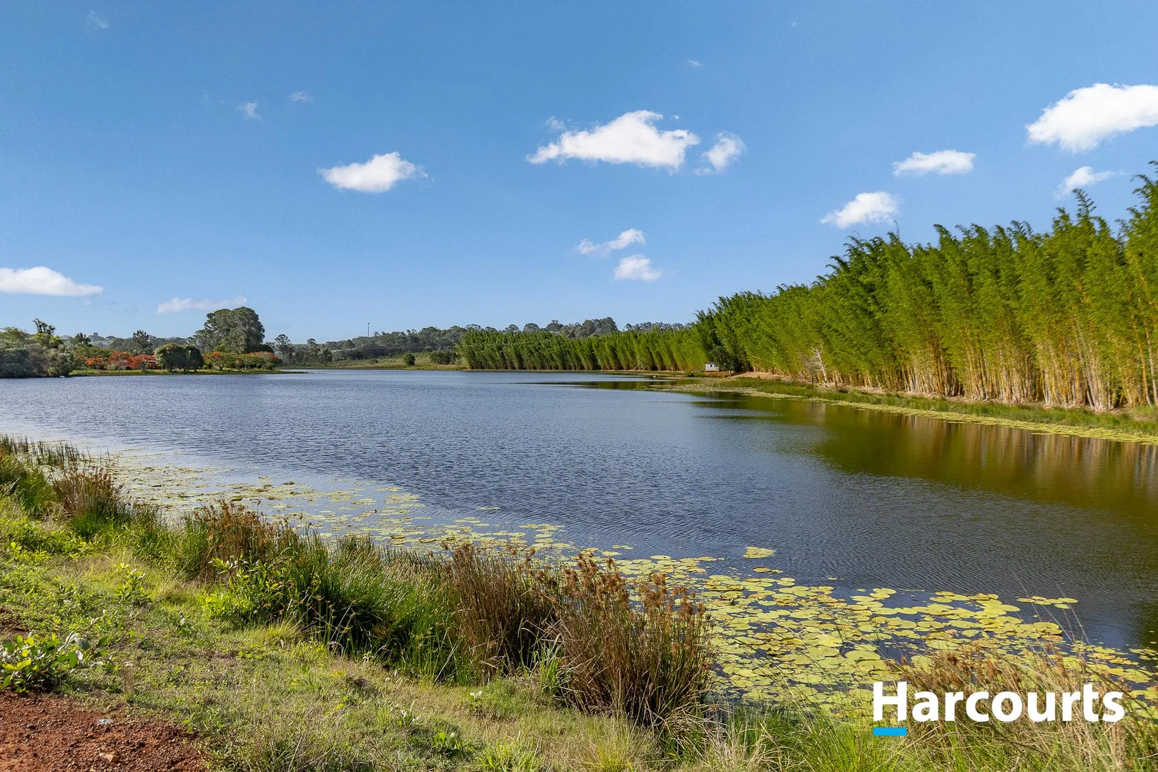 Additional image 22 of 28291 Bruce Highway, South Isis QLD 4660