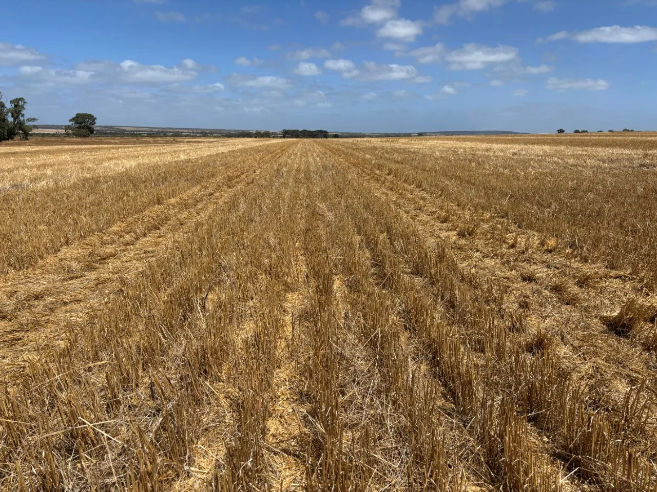 205 Settlers Road, Wangary SA 5607