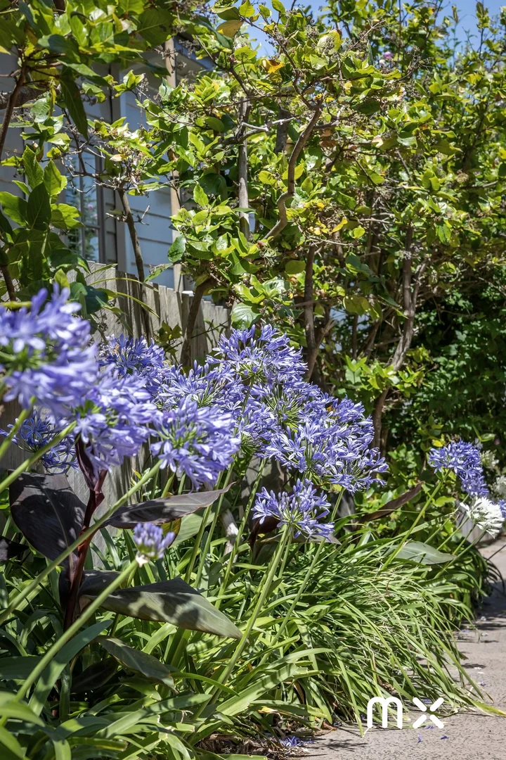 Additional image 24 of 28 Wigram Road, Austinmer NSW 2515