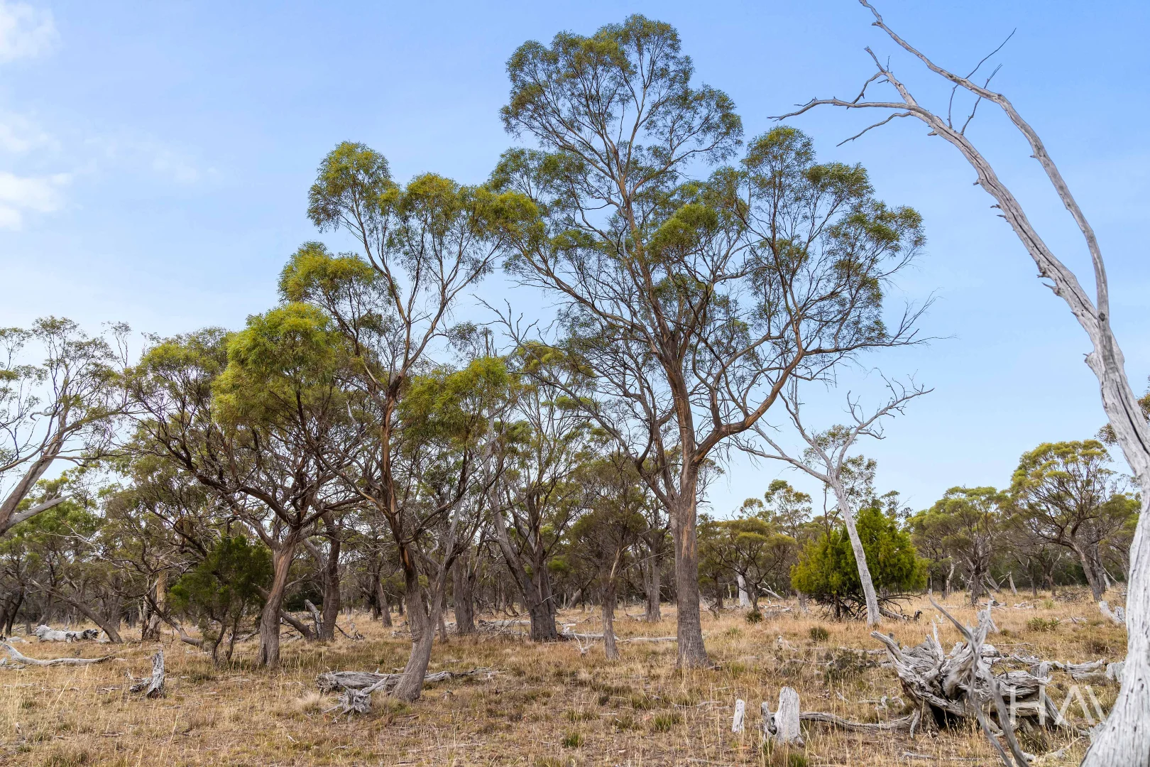 Additional image 4 of Lot 50 Springs Road, Swansea TAS 7190