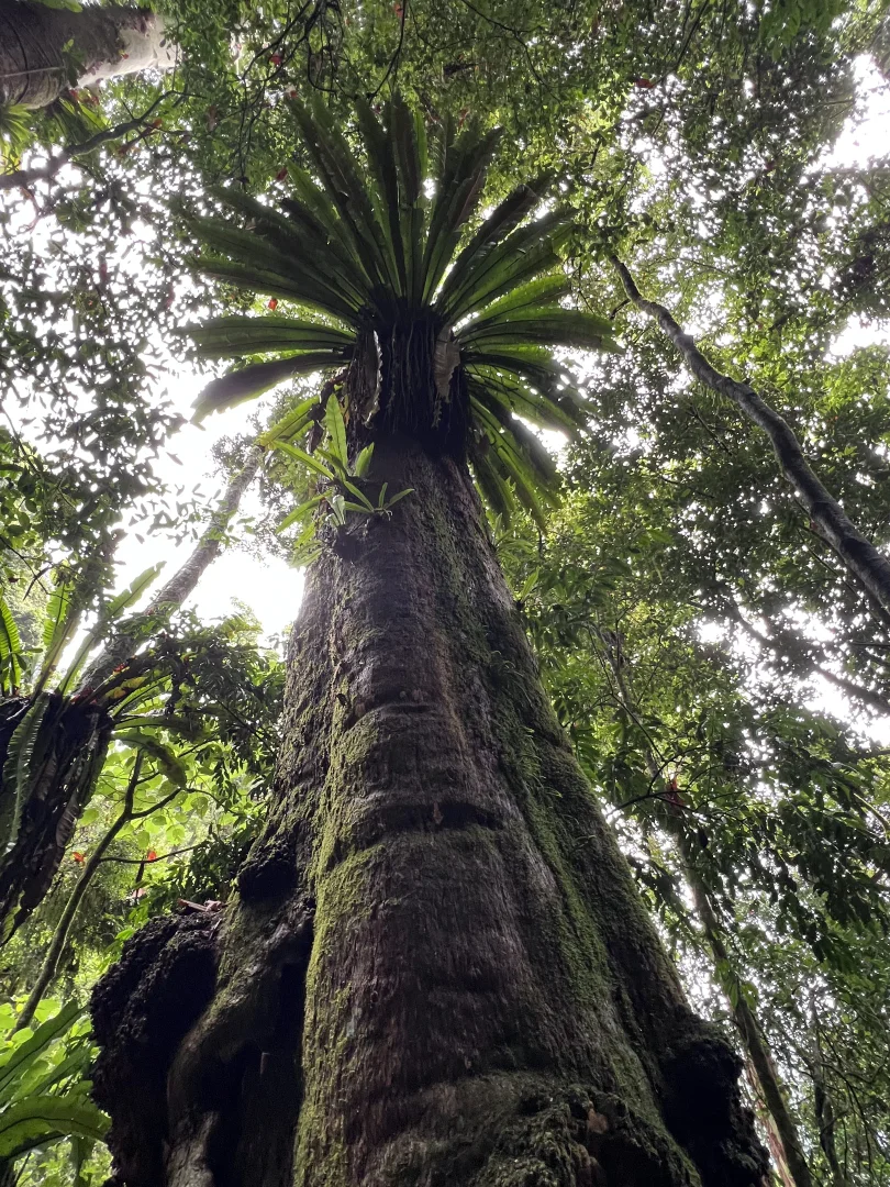 Additional image 17 of 6892 Gwydir Highway, Cangai NSW 2460