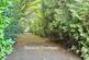 Additional image 31 of Ringwood Road, Three Legged Cross, BH21 6RD