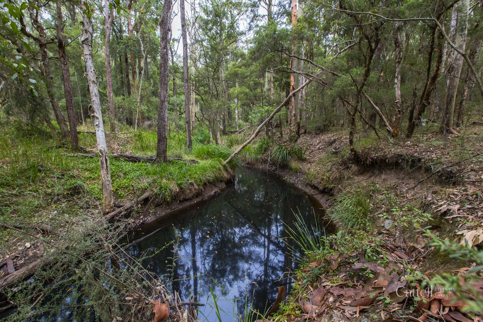 Additional image 7 of Lot 41 Bakers Lane, Sawyers Gully NSW 2326