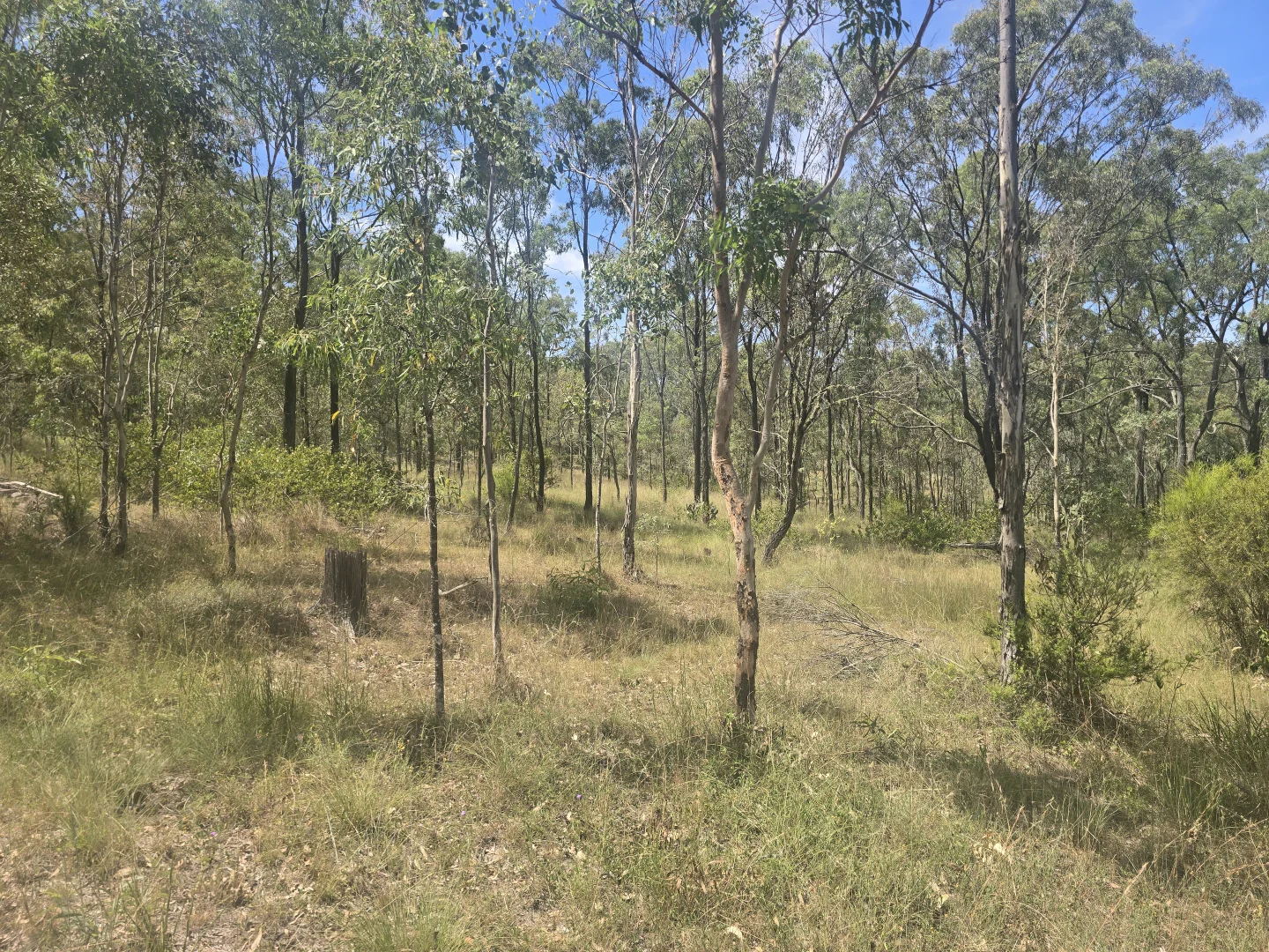 Additional image 14 of Lot 389 East Cooyar Road, Cooyar QLD 4402