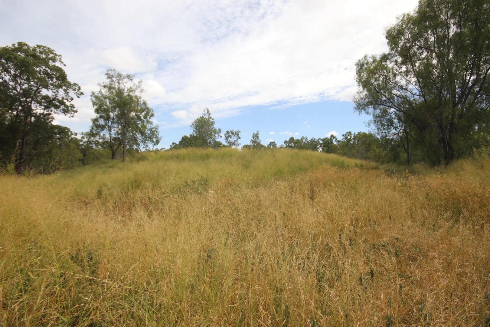 Additional image 5 of 3 Short Street, Gayndah QLD 4625