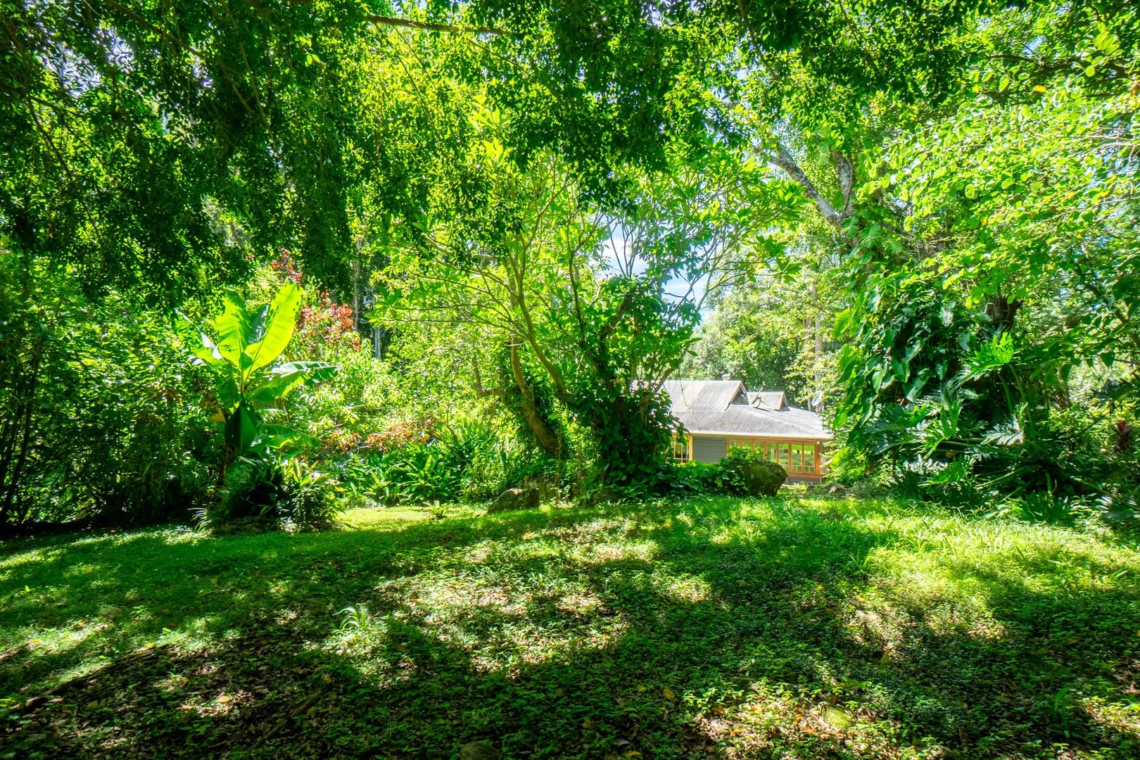 Additional image 28 of 771 Left Bank Road, Mullumbimby Creek NSW 2482