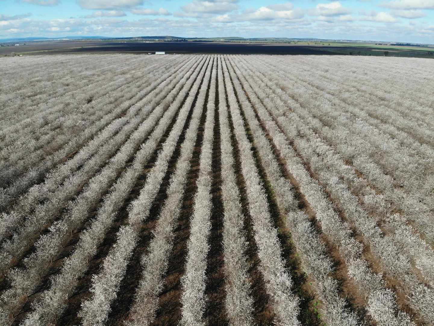 Additional image 4 of Hillston NSW 2675