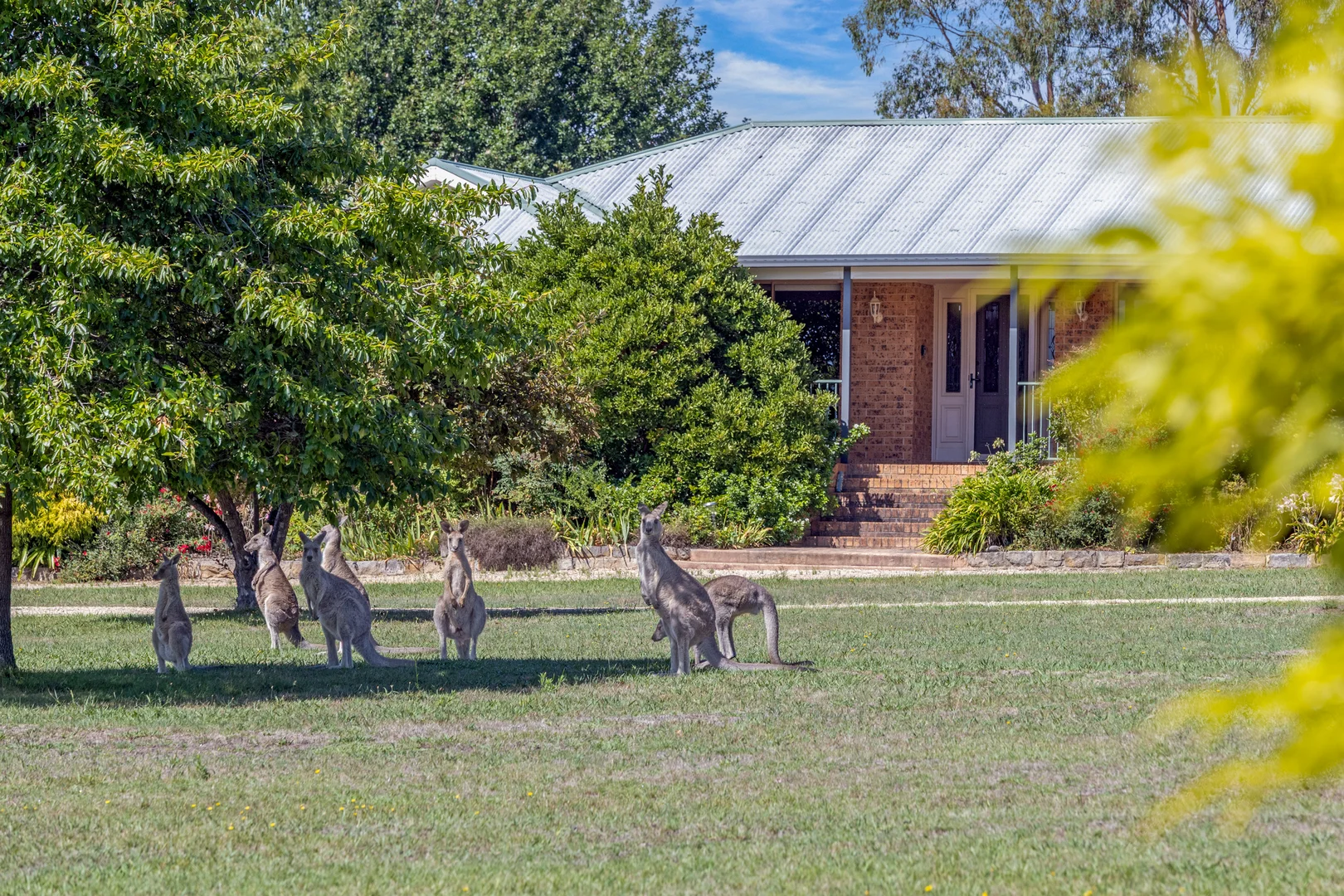 Additional image 20 of 63 Granger Place, Hartley NSW 2790